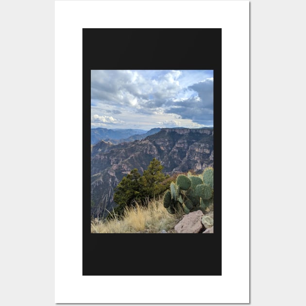 Copper Canyon Mexico Wall Art by JuliaGeens